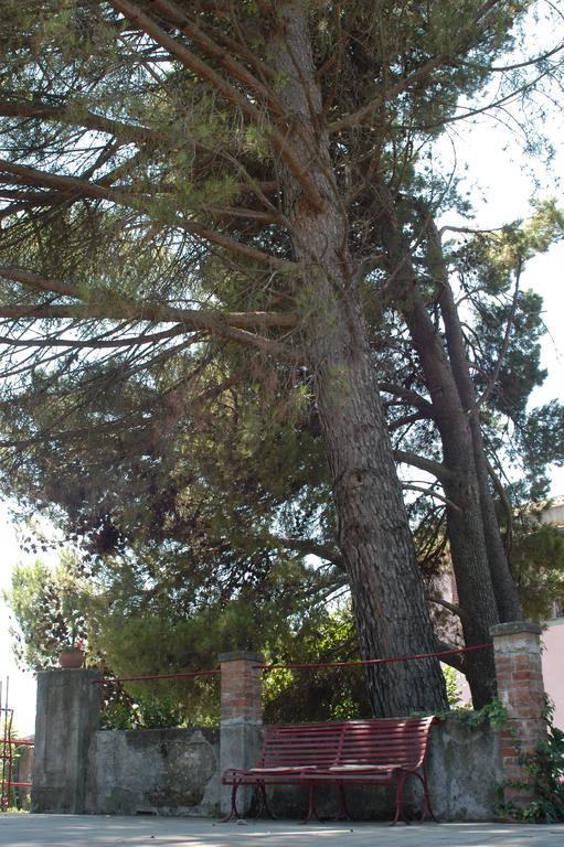 B&B Sotto I Pini Zafferana Etnea Kültér fotó
