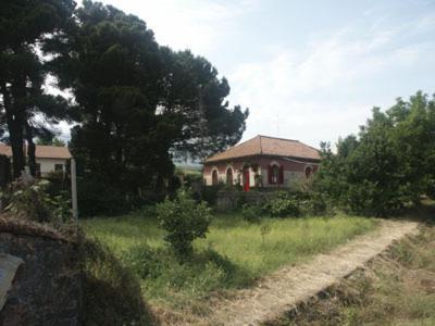 B&B Sotto I Pini Zafferana Etnea Kültér fotó
